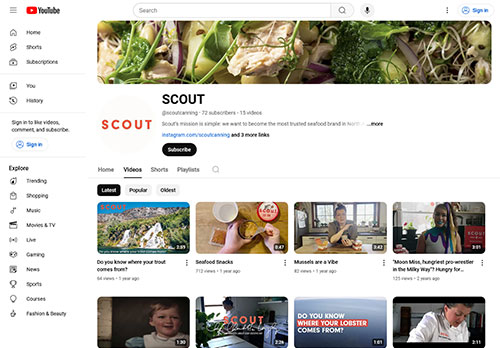 Scout-YouTube